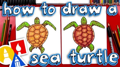 How To Draw A Realistic Sea Turtle .